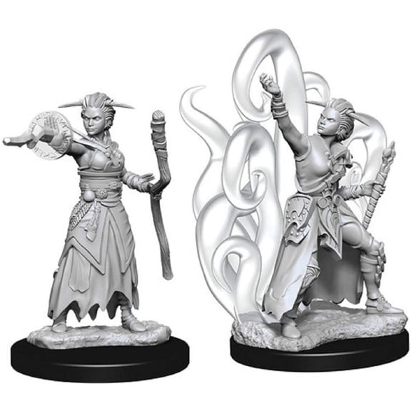 Dungeons & Dragons Nolzur`s Marvelous Unpainted Miniatures: W10 Female Human Warlock