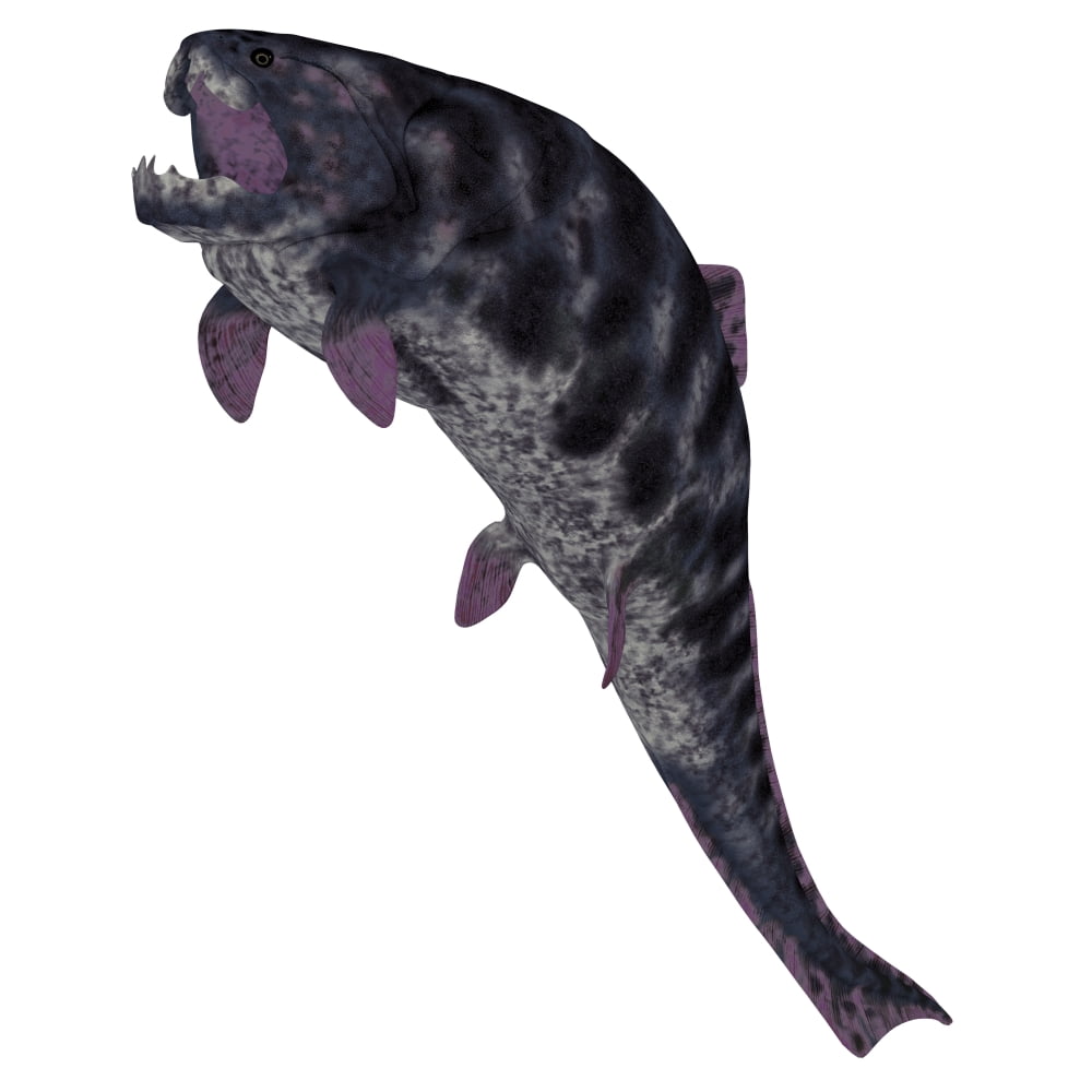 Dunkleosteus prehistoric fish from the Devonian period Canvas Art - Corey FordStocktrek Images (28 x 28)