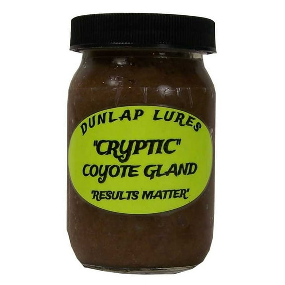 Dunlap's Cryptic Coyote Gland Lure