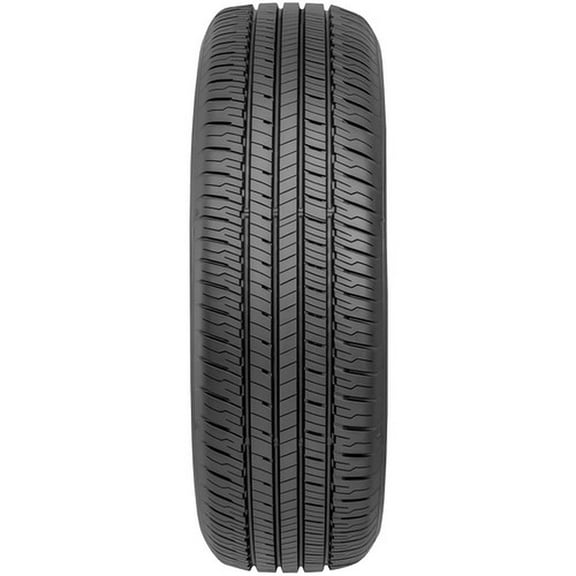 225/60R18 100H DUN GRANDTREK PT20 BW