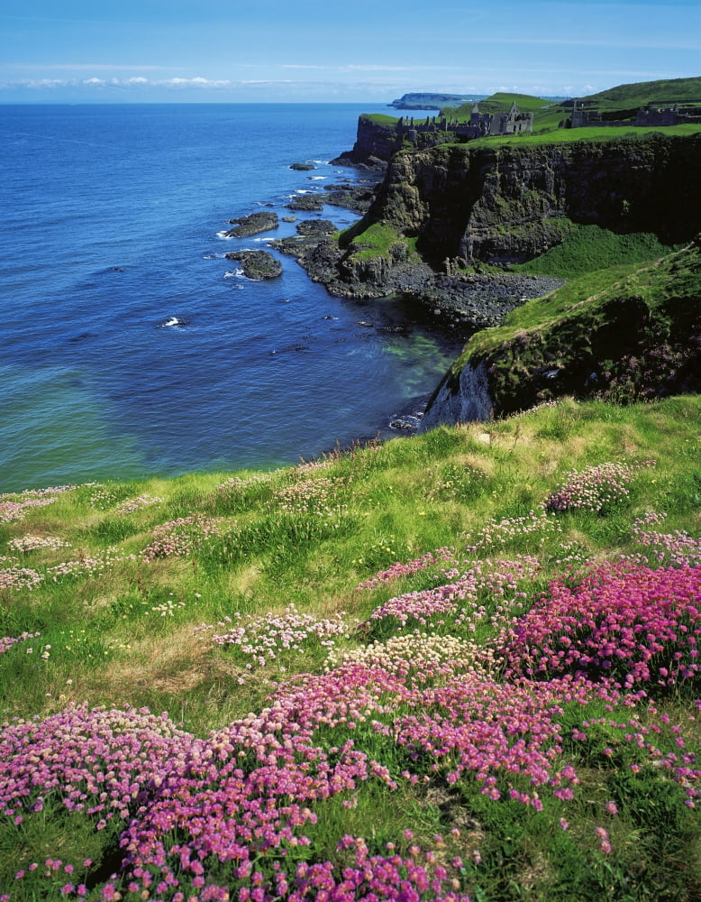 Dunluce Castle Co Antrim Ireland Canvas Art - The Irish Image Collection Design Pics (26 x 34)