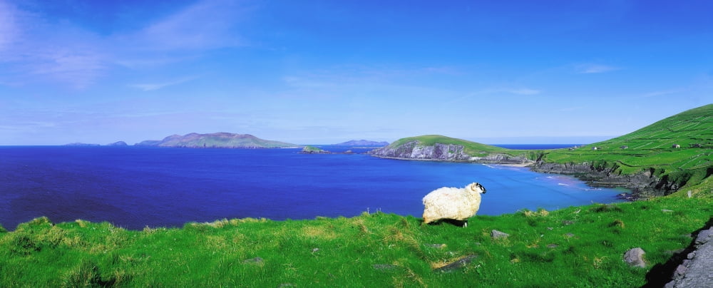 Dunmore Head Blasket Islands Dingle Peninsula Co Kerry Ireland Canvas Art - The Irish Image Collection Design Pics (31 x 12)