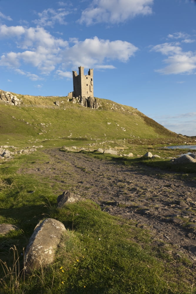 Dunstanburgh Castle Northumberland England Canvas Art - John Short Design Pics (24 x 38)
