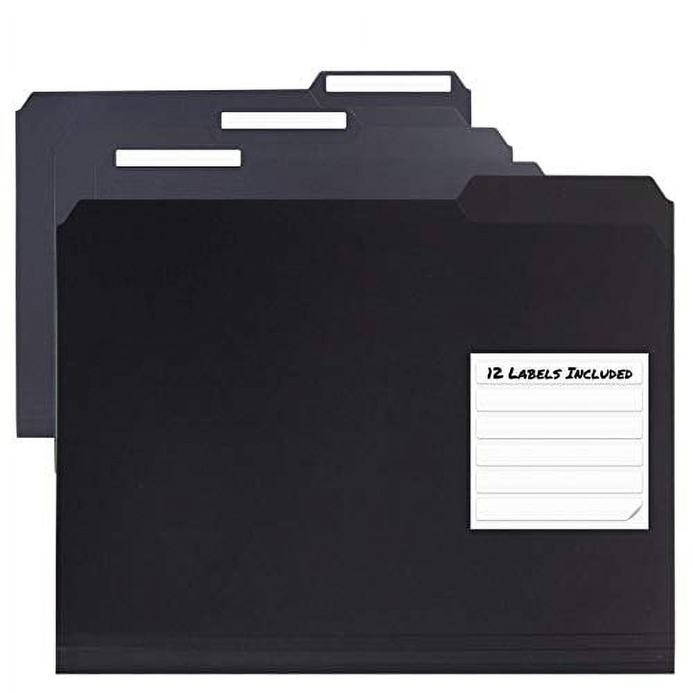 Dunwell Plastic Black File Folders 1/3 Cut Tab (12 Pack), Sturdy 3