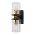 thumbnail image 1 of Duo 2-Light Black and Soft Gold Wall Sconce with Clear Glass - Black and Soft Gold, 1 of 4