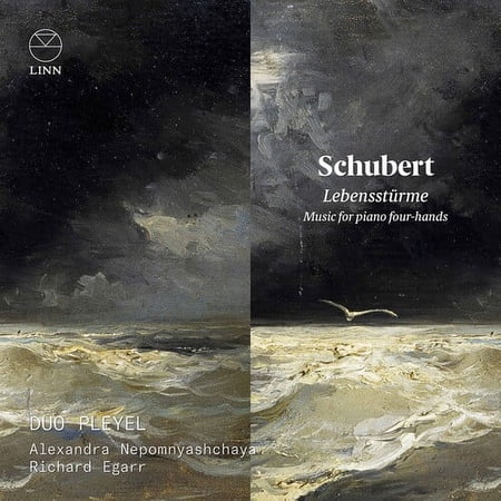 Duo Pleyel - Lebenssturme - Music & Performance - CD