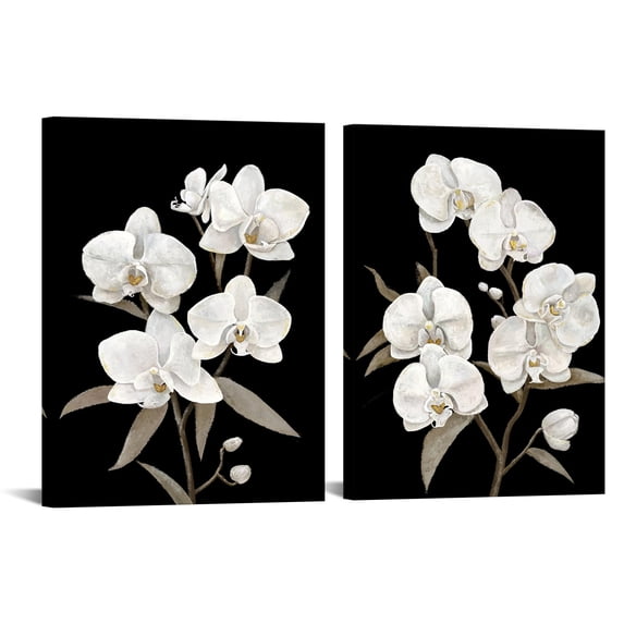 DuoBaorom White Orchids on Black Canvas Print Floral Wall Art Set of 2 Pieces Flower Painting for Spa Yoga Room 12"x16" C95