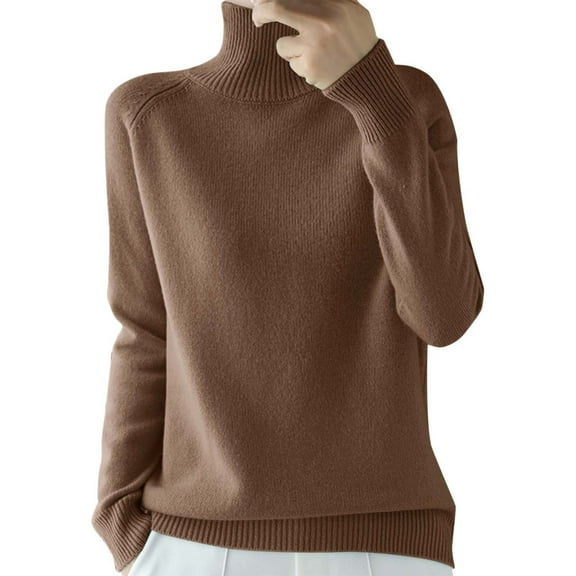 DuoJiaJ Women's Seamless Sweater Turtleneck Long Sleeve Knitted Pullover Tops Brown XL
