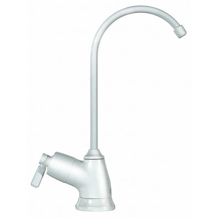 Dupont Gooseneck,Chrome,Dupont,SS,0.5gpm WFFT110CH