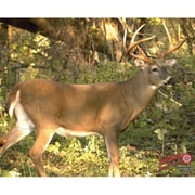 Dura Mesh Archery Whitetail 3 Target, Brown, 25" x 32"