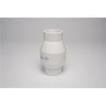 thumbnail image 1 of Dura Plastics DURS12010 1 in. PVC In-Line Socket Spring Check Valve, 1 of 1