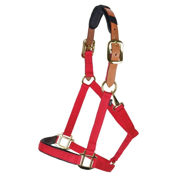 Dura-Tech Comfort Plus Nylon Breakaway Halter for Horses| Color Red | Size Cob
