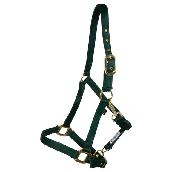 Dura-Tech Cushion Web Halter for Horses | Soft Poly Web | Green | Full Size