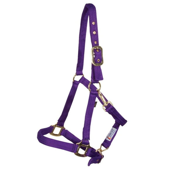 Dura-Tech Cushion Web Halter for Horses | Soft Poly Web | Purple | Full Size
