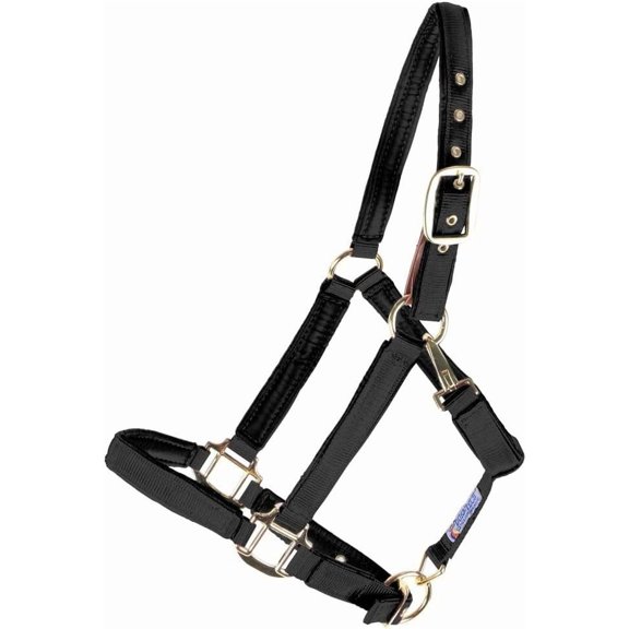 Dura-Tech Deluxe Fully Padded Breakaway Horse Halter | 1” Double Ply Nylon Web Overlay | Heavy-Duty Hardware | Semi Custom Fit | 3-Point Cheek Attachment