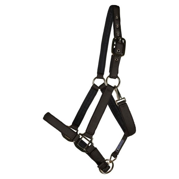 Dura-Tech Deluxe Fully Padded Nylon Horse Halter | Color Black | Size Cob