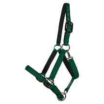 Dura-Tech Deluxe Fully Padded Nylon Horse Halter | Color Green | Size Cob