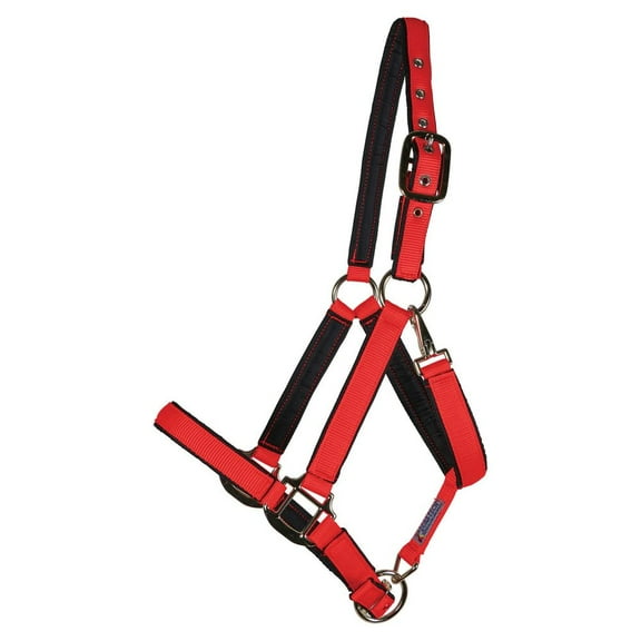 Dura-Tech Deluxe Fully Padded Nylon Horse Halter | Color Red | Size Cob
