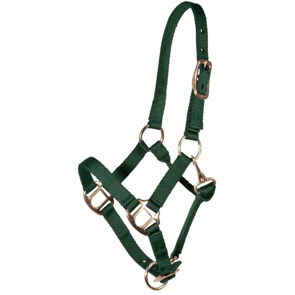 Dura-Tech Nylon Foal Halter for Horses | Adjustable Nose & Throat Snap | Green | Weanling