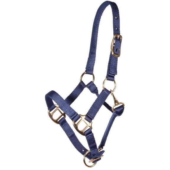 Dura-Tech Nylon Foal Halter for Horses | Adjustable Nose & Throat Snap | Navy | Suckling
