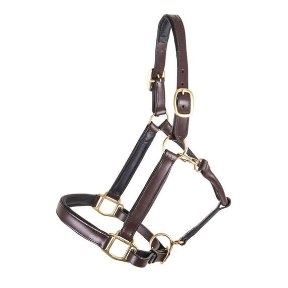 Dura-Tech Premier Buffalo Leather Horse Halter | Style Saratoga | Thoroughbred