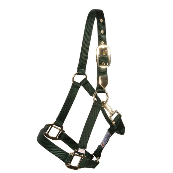 Dura-Tech Triple Ply Nylon Horses Halter with Brass Grommets | Green | Full Size