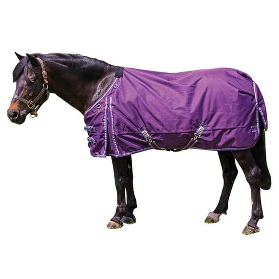 Dura-Tech Viking Classic Pony Heavy Weight Turnout Horse Blanket | Purple | 58
