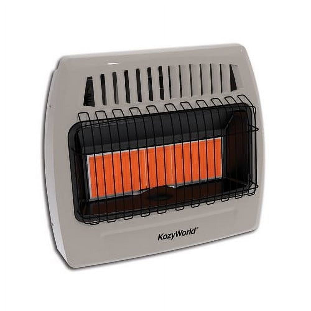 DuraHeat Kozy World 30,000 BTU Infrared Liquid Propane Gas Wall Heater