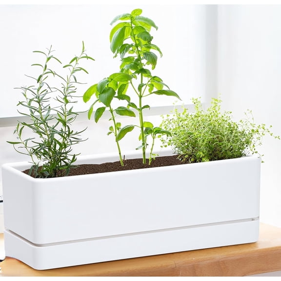 Durable 12 Inch Rectangular Herb Planter Box in White for Indoor Plants