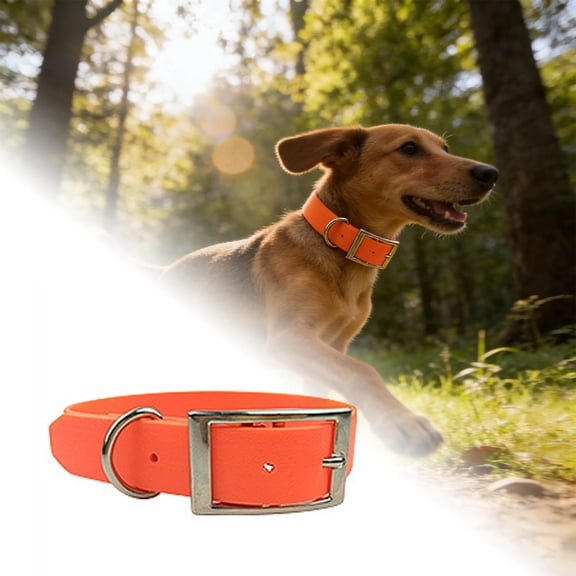 Durable Adjustable Nylon Pet Collar with Double Clasps and D-Rings for Secure Everyday Use