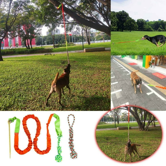 Durable Dog Chew Toy for Aggressive Chewers Interactive Tug of War Rope Pet Teeth Grinding Outdoor Play Bungee Tree Stump Training Toy