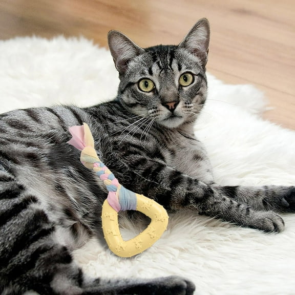 Durable Dog Chew Toys Plastic Material Interactive Teeth Cleaning Long Lasting for Aggressive Chewers Puppies Small Medium Large Dogs