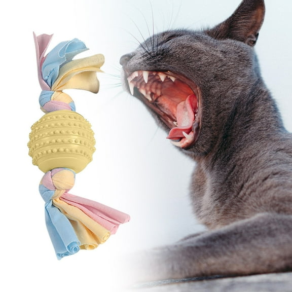 Durable Dog Chew Toys Plastic Material Interactive Teeth Cleaning Long Lasting for Aggressive Chewers Puppies Small Medium Large Dogs