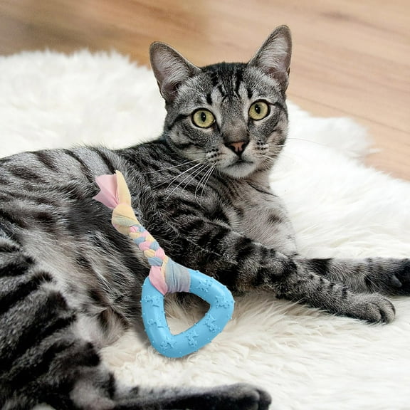 Durable Dog Chew Toys Plastic Material Interactive Teeth Cleaning Long Lasting for Aggressive Chewers Puppies Small Medium Large Dogs