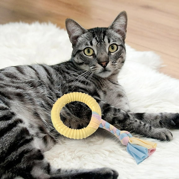 Durable Dog Chew Toys Plastic Material Interactive Teeth Cleaning Long Lasting for Aggressive Chewers Puppies Small Medium Large Dogs