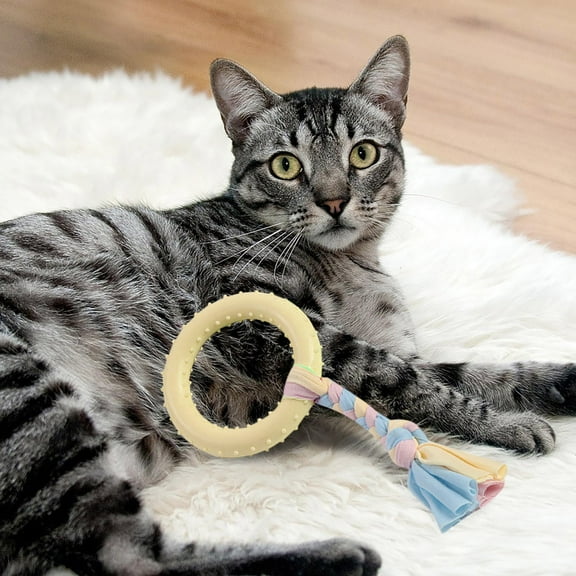 Durable Dog Chew Toys Plastic Material Interactive Teeth Cleaning Long Lasting for Aggressive Chewers Puppies Small Medium Large Dogs