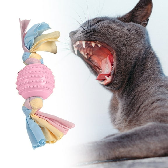 Durable Dog Chew Toys Plastic Material Interactive Teeth Cleaning Long Lasting for Aggressive Chewers Puppies Small Medium Large Dogs