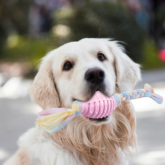 Durable Dog Chew Toys Plastic Material Interactive Teeth Cleaning Long Lasting for Aggressive Chewers Puppies Small Medium Large Dogs