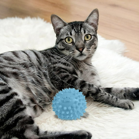 Durable Dog Chew Toys Plastic for Aggressive Chewers Interactive Teeth Cleaning Puppy Teething Small Medium Large Dogs