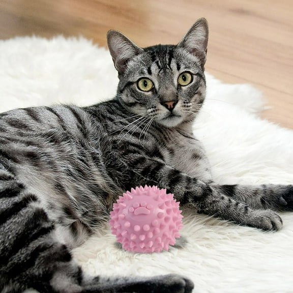 Durable Dog Chew Toys Plastic for Aggressive Chewers Interactive Teeth Cleaning Puppy Teething Small Medium Large Dogs