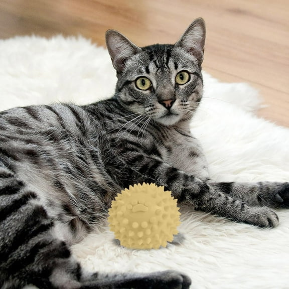 Durable Dog Chew Toys Plastic for Aggressive Chewers Interactive Teeth Cleaning Puppy Teething Small Medium Large Dogs