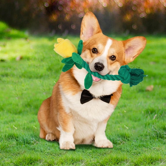 Durable Dog Chew Toys for Puppies Interactive Squeaky Rose Flower Pet Toy Indoor Outdoor TPR Rope Teething Biting Training Play