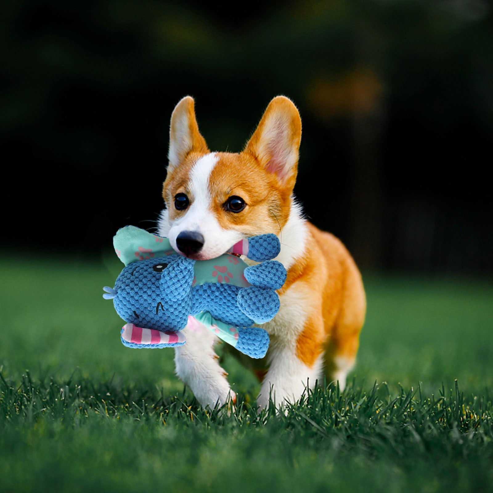 Picture of Durable Dog Toys with Squeaker & Crinkle Paper, Soft Plush Pineapple ...