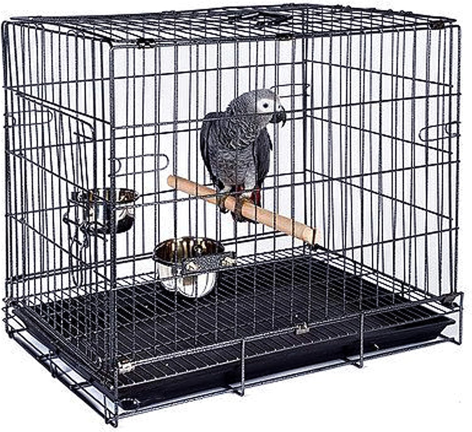 Photo inspiration: Fresh Look at Durable Easy Portable Collapsible Metal Travel Or Veterinary
