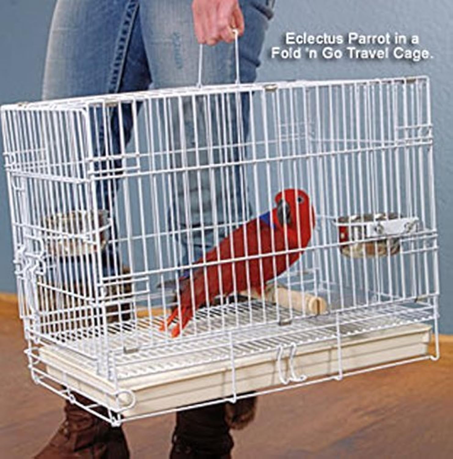 Curated visual reference: Visual Reference: Durable Easy Portable Metal Travel Or Veterinary Collapsable Parrot