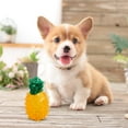 thumbnail image 1 of Durable Freezable Pet Teether Chew Toy with Pineapple and Watermelon Design for Puppies and Dogs Chewing Solution for Teething, 1 of 3