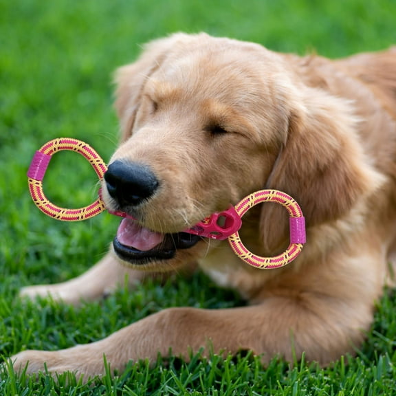 Durable Interactive Dog Chew Rope Toy For Tug Of War Play Strengthens Bonding With Of All Breeds And Sizes