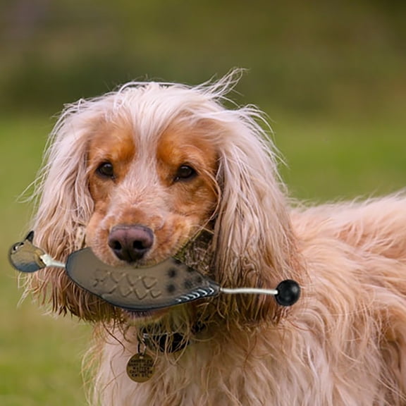 Durable Interactive Floating Chew Toy for Puppy and Adult Dog Training Water Retrieval Exercise