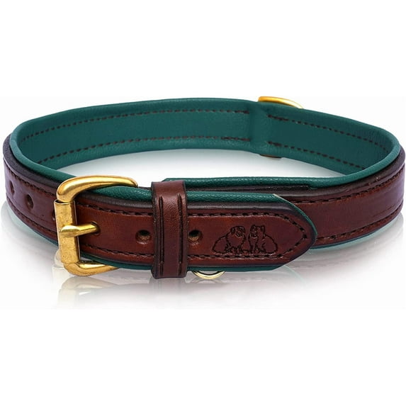 Durable Leather Dog Collar - Medium Brown with Hunter Green Leather Lining - Soft Strong Domestic Leather with Solid Brass Hardware - Amish Made in The USA (Medium)