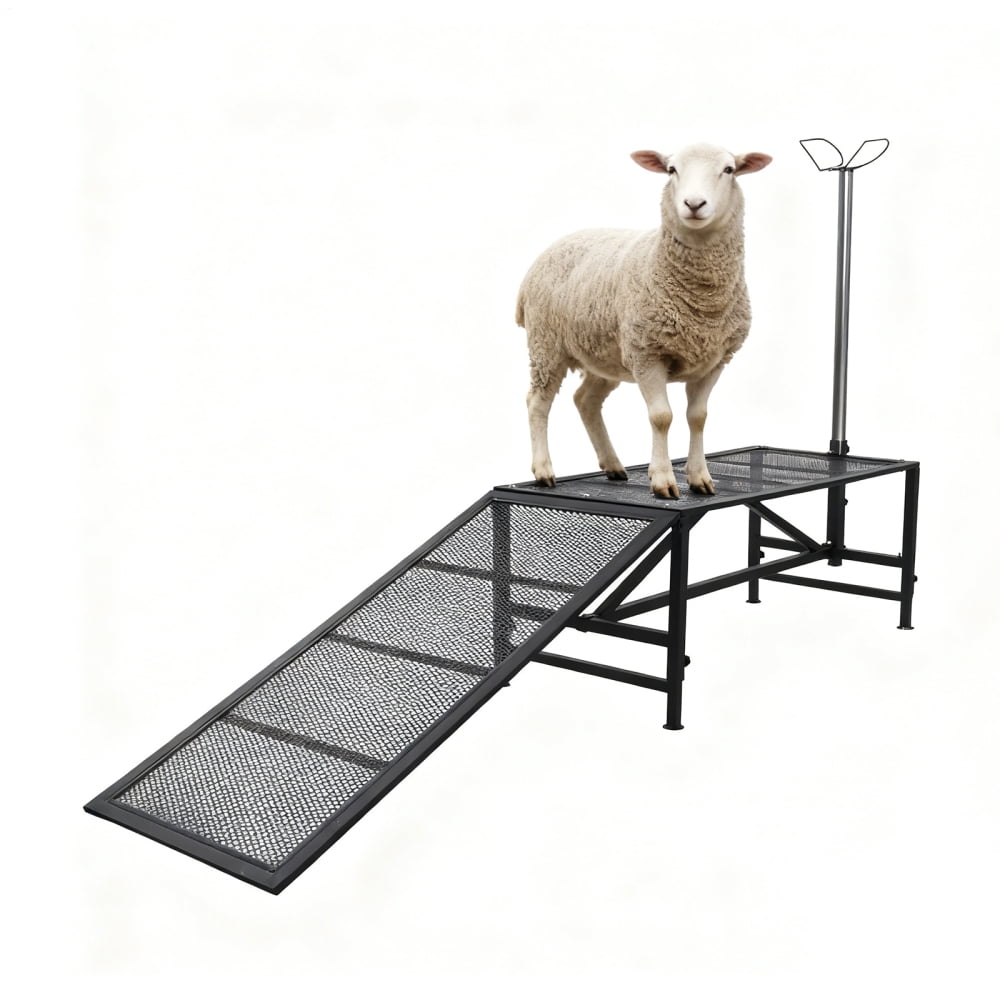 Durable Metal Livestock Stand with Ramp for Goat Hoof Care, Ranch ...
